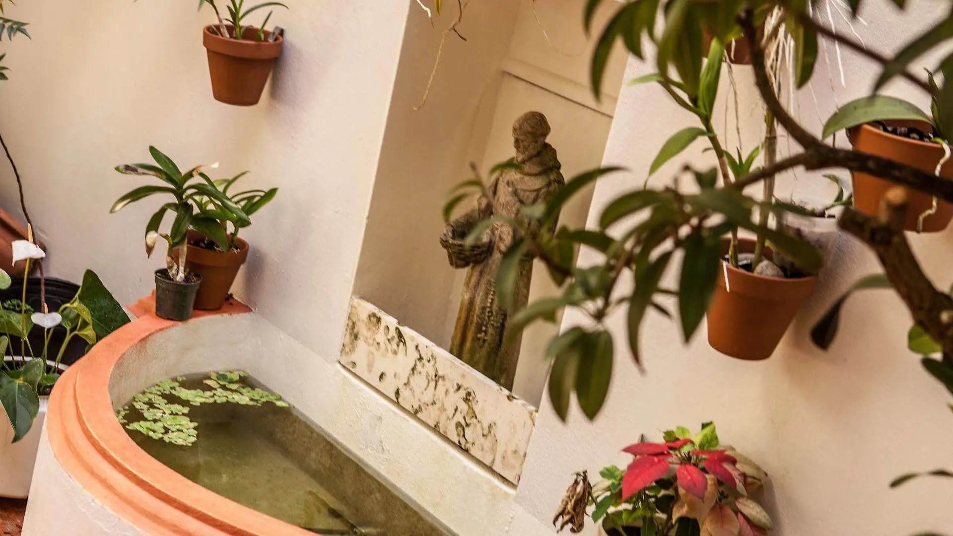 *** Bed & Breakfast Casa Sol Bed And Breakfast San Juan Puerto Rico